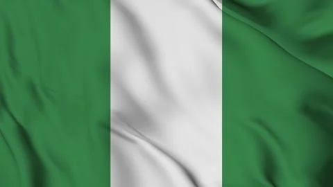 Nigeria flag Waving Stock Footage 294136426