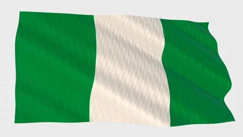 Nigeria flag waving in the wind on a grey background 스톡 동영상 343219256