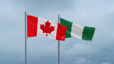 Nigeria national flag Video stock 252024905