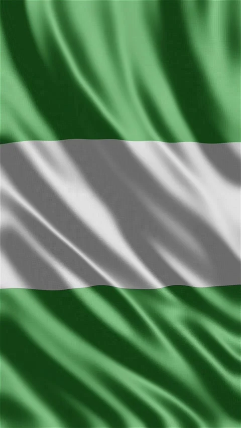 Nigeria waving flag Stock Footage 288004427