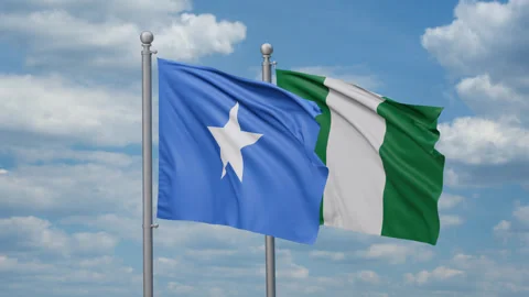 Nigeria waving flags Stock Footage 272316547
