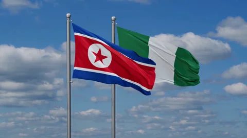 Nigeria waving flags Stock Footage 287751579