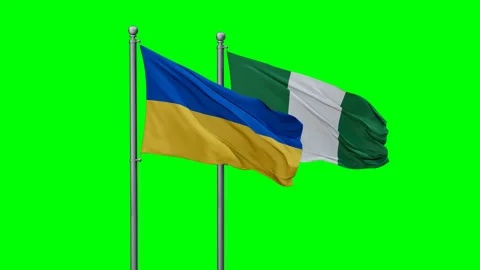 Nigeria waving flags Stock Footage 291193360