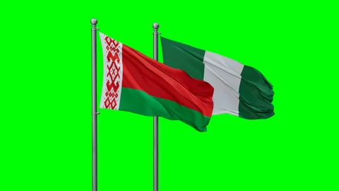 Nigeria waving flags Stock Footage 292789004