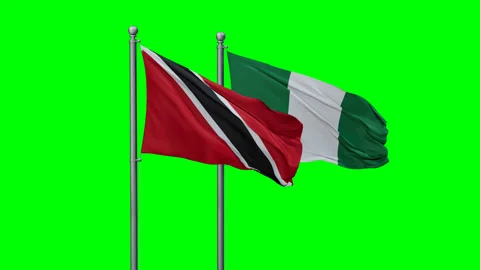 Nigeria waving flags Stock Footage 294263832