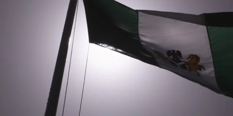 Nigerian Flag Stock Footage 45885146