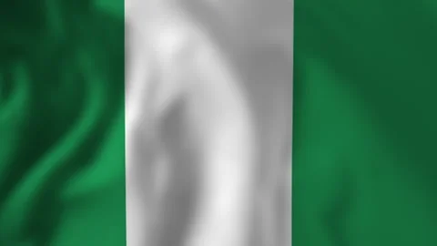 Nigerian flag waving gently in the wind montage Stock Footage 313925408