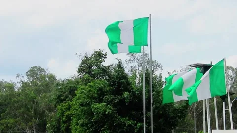 Nigerian flags fluttering in the wind, Enugu, Nigeria 06/07/2025 Stock Footage 310853610