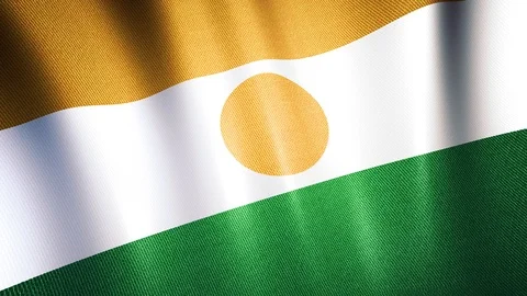 Niger's national flag loop waving closeup Stock Footage 125627504