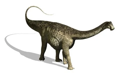 Nigersaurus Dinosaur Stock Illustration