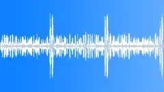 Night AmbienceSound Effect