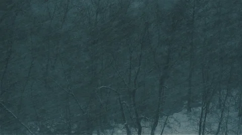 Night and blizzard Stock Footage 36804402