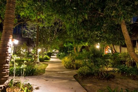 Night and empty footpath through the village in the jungle forest. Lots of gr Stock Photos