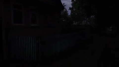 Night atmosphere with silence Stock Footage 316946640