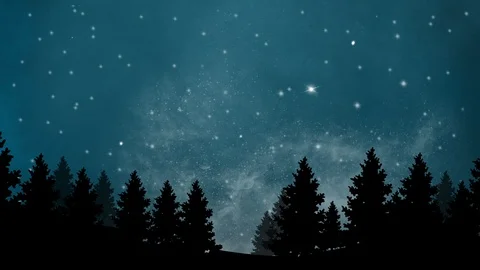 Night background with forest and sky with moving stars parallax animation Stock Footage 115415199