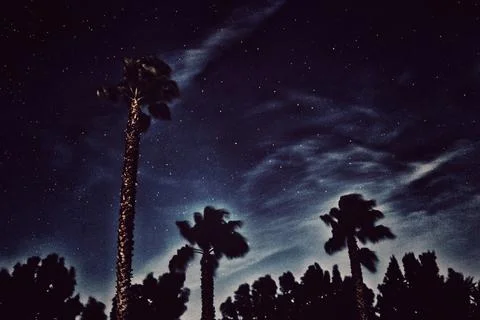 Night background Stock Photos