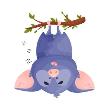 Night Bat Sleeping Hanging Upside Down on Tree Branch Vector Illustration Stock Illustration
