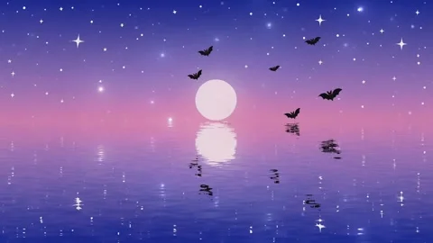 Night Bats Moon - Ocean Water and Sea - Full Moon and bats Seamless animation Stock Footage 305229097