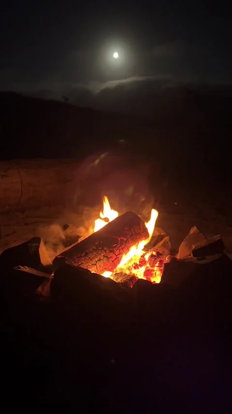 Night Beach Campfire Log with Full Moon Rising Above Coastal Dunes Vertical 스톡 동영상 346985284