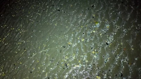 Night beach walk at low tide Stock Footage 280060119