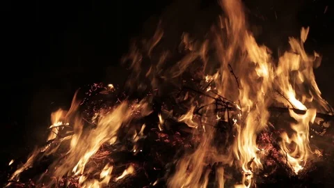 Night, a big campfire burns Stock Footage 100819692