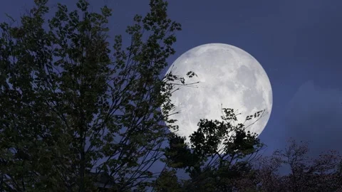 Night bleak cold moonlit night and dark clouds time lapse Stock Footage 276484825