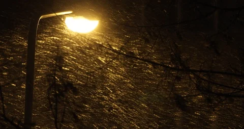 Night blizzard Stock Footage 124329211