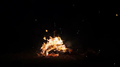 Night bonfire burns in dark forest in camping. Breathtaking video of flaming Video stock 253793089