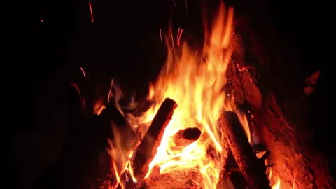 Night Bonfire Burns in the Forest Stock Footage 256021447