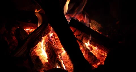 Night bonfire at a camping in the forest. Stock Footage 143878391