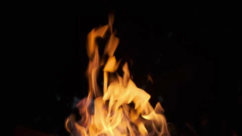 Night bonfire flames. Burning fire. Close up of burning logs in the grill Stock Footage 140207165