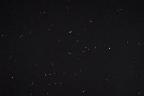 Night bugs random flight motion- lighted Video stock 124672980