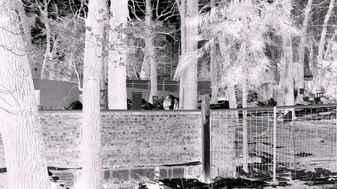 Night Builders In Fast Motion An Front View At Black White Tones Stock Footage 84028429