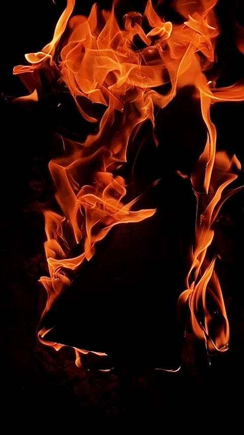 Night burning campfire close up. Bonfire with firewood. Vivid orange flame Stock Footage 300450400