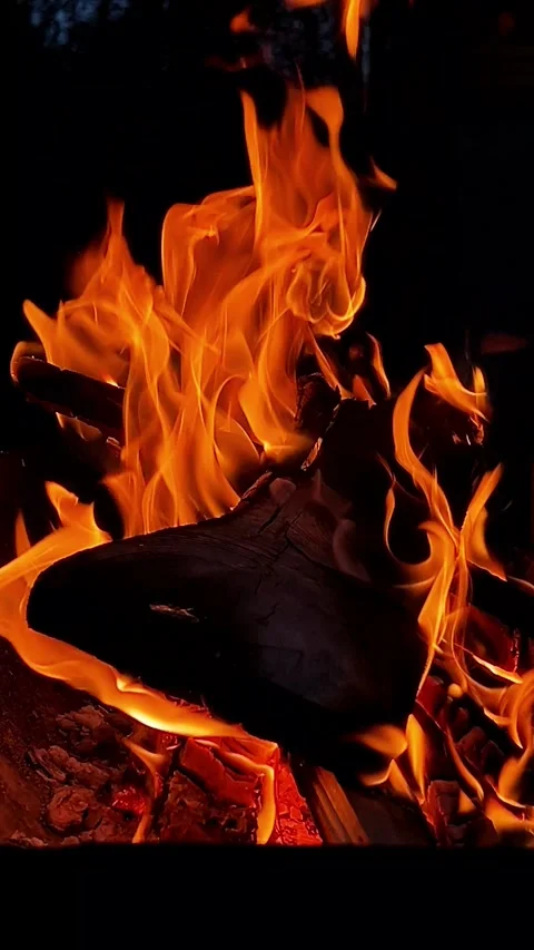 Night burning campfire close up. Bonfire with firewood. Vivid orange flame Stock Footage 302903058