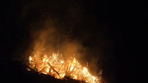 Night burning logging slash in Coast Range of Oregon flames, sparks smoke 4K. Video stock 122721254