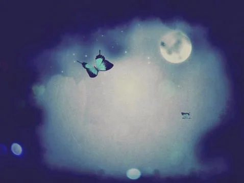 Night Butterflies Stock Illustration