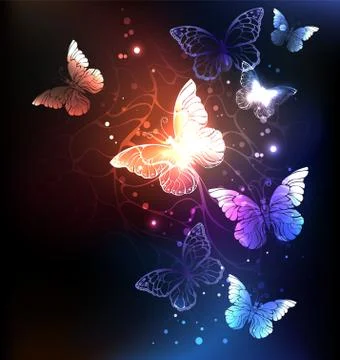 Night butterflies Stock Illustration