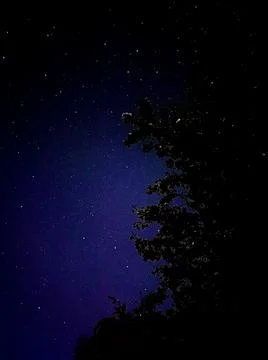 Night calm Stock Photos