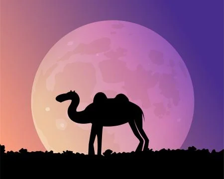 Night camel in the desert. Stock Illustration