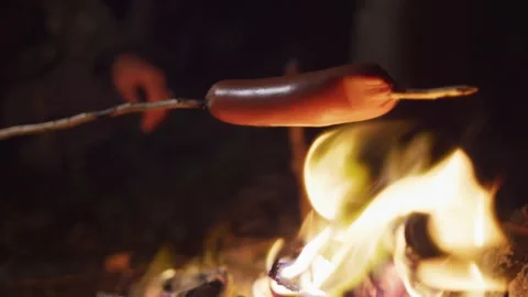 Night Camp Fire Stock Footage 138125324