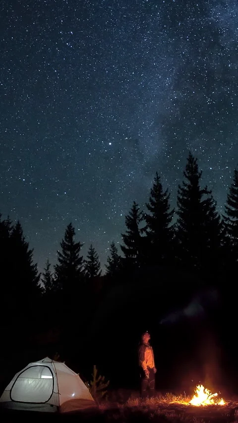 Night camper with fire under starry sky and pine trees in forest clearing Stock Footage 314098860