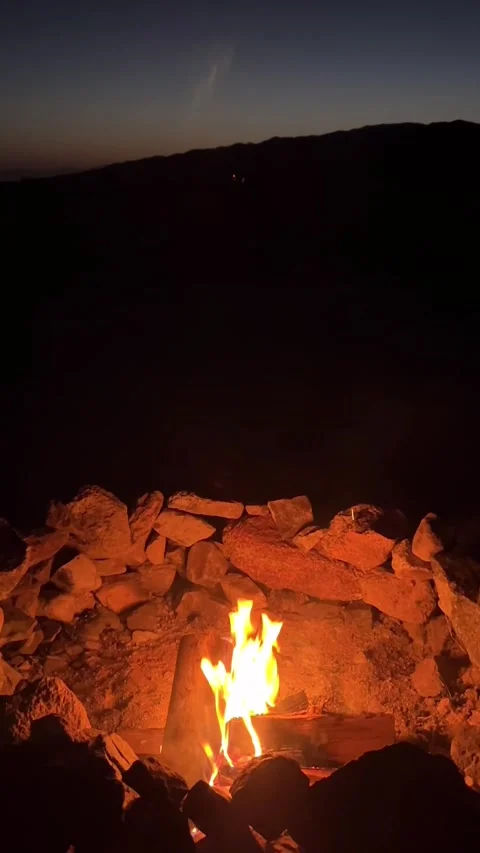 Night campfire burning in Joshua Tree desert vertical 4K footage Stock Footage 335639461