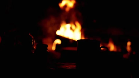 Night by Campfire, Cozy Scene Stock Footage 293279301