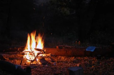 Night campfire. Fire flames at summer bight Stock Photos