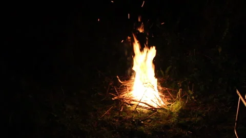 Night campfire in the forest. Campfire in the night forest while camping Stock Footage 149390872