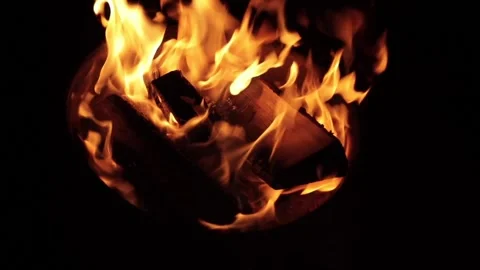 Night Campfire in the Garden Stock Footage 165223080