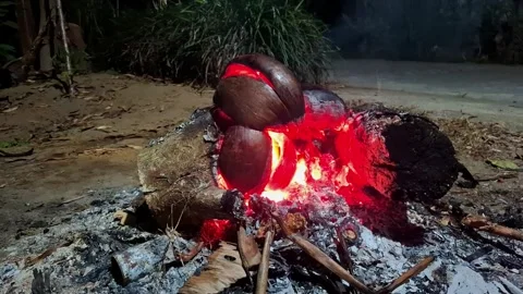Night campfire with glowing logs and roasting coconuts Stock Footage 341680299