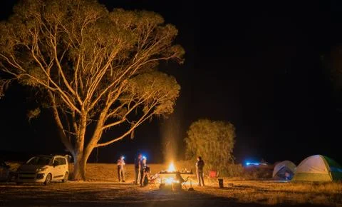 Night camping in a forest Stock Photos