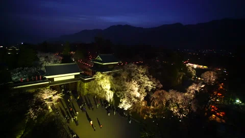 Night Cherry Blossoms and Ueda Castle Vidéo 330763062
